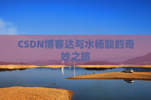 CSDN博客达与水杨酸的奇妙之旅